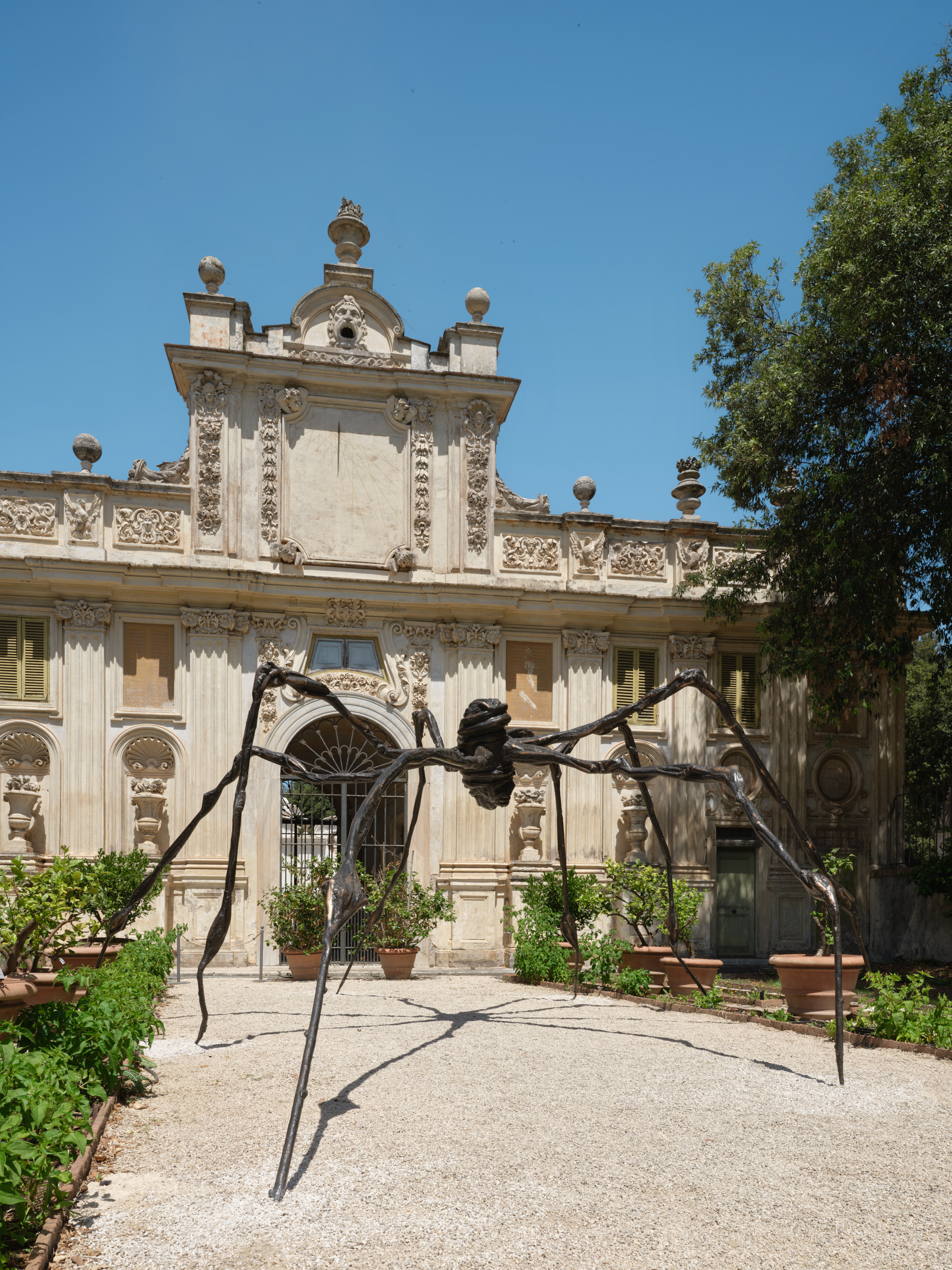 Galleria-Borghese_Louise-Bourgeois_Installation_view2_Spider_Ph._A._Osio