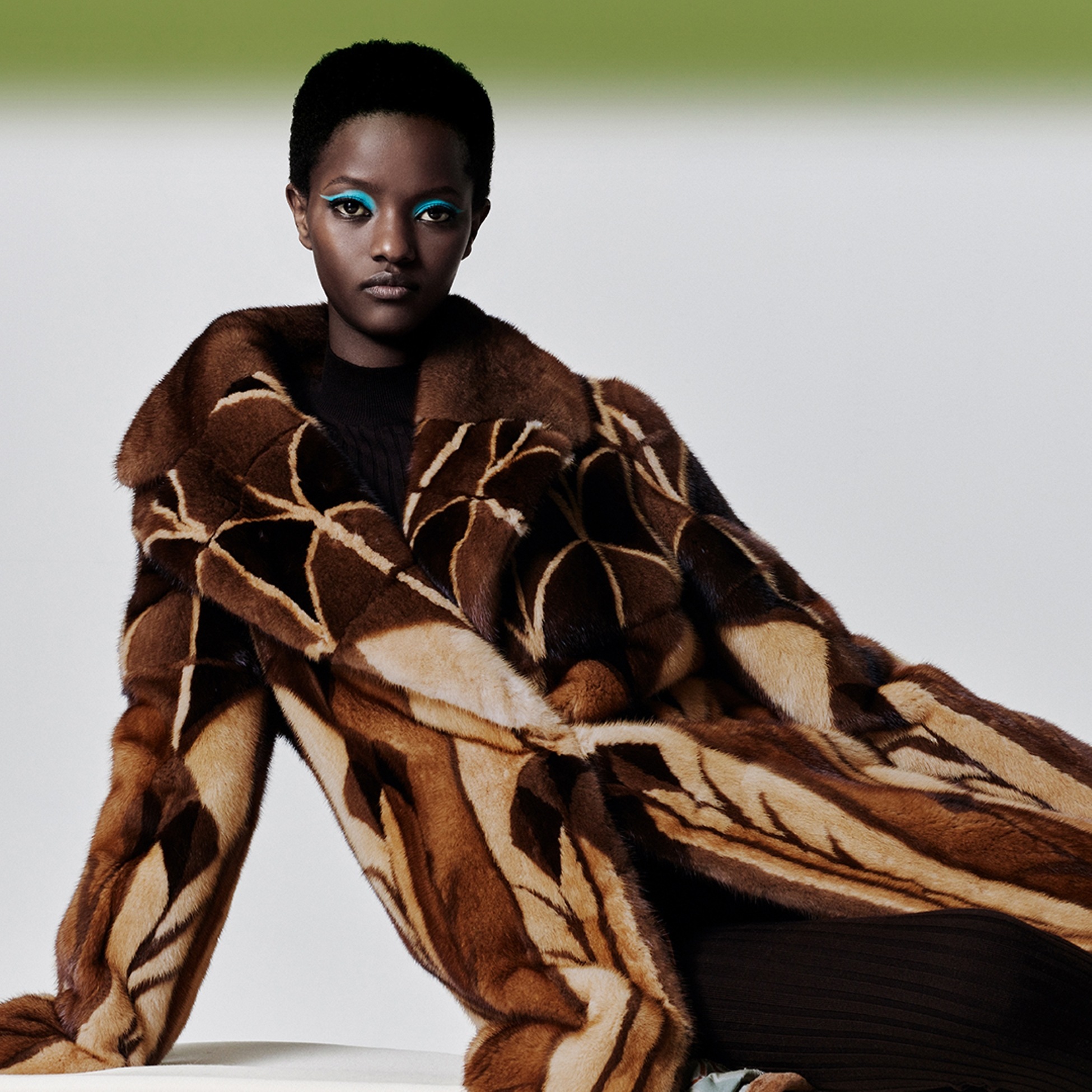 Fendi Fur