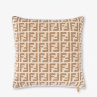 FF Cushion