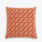 FF Cushion image 2 of 3