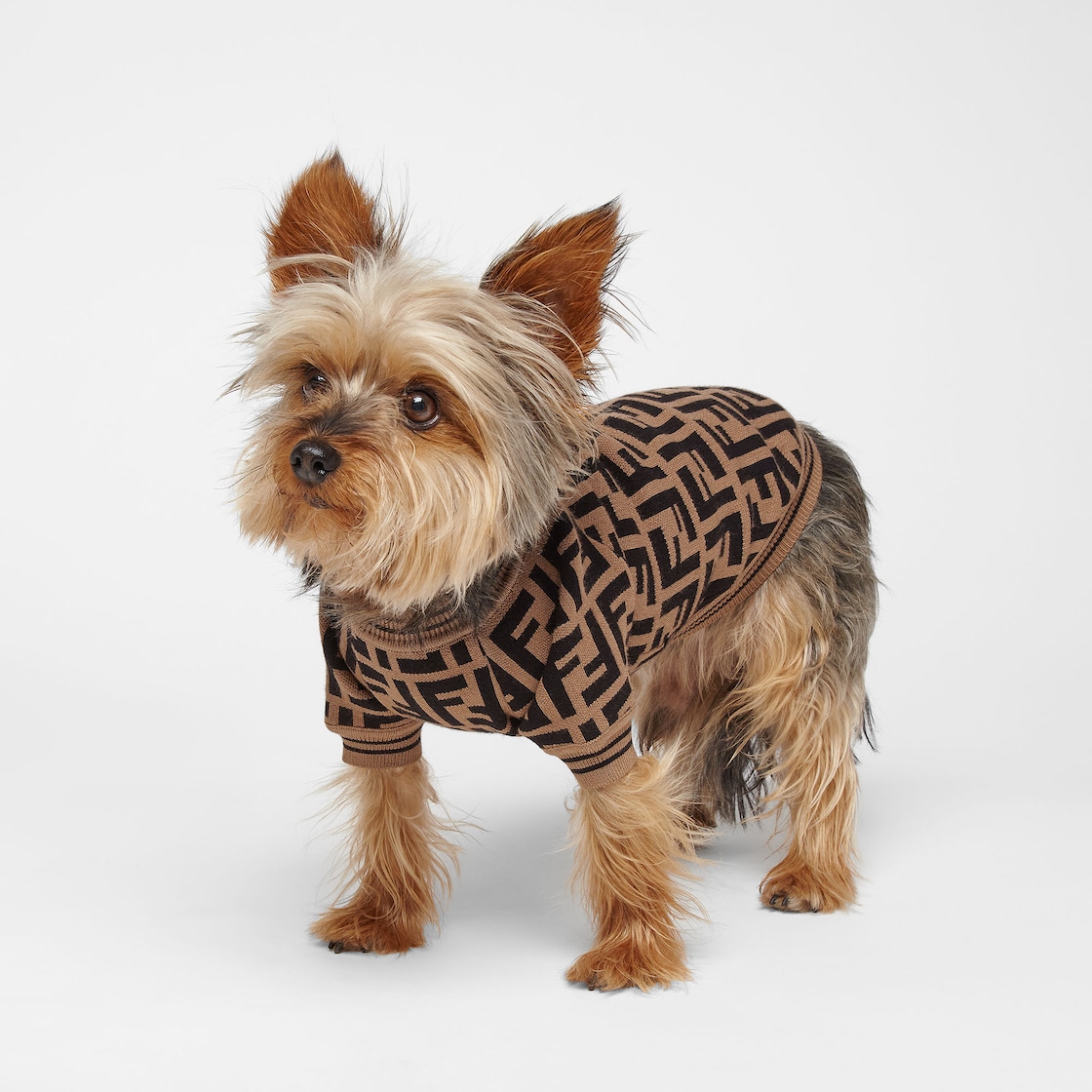 Dog Jumper Fabric Brown - Image 3/3