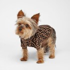 Dog Jumper