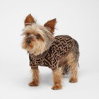 Dog Jumper image 3 of 3