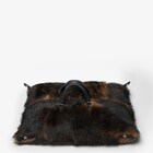 Medium Fendi Siesta