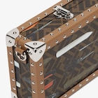 FF Phone Trunk