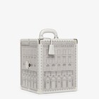 Roma Palazzo trunk