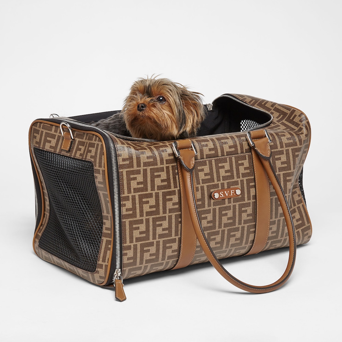 Fendi store dog accessories