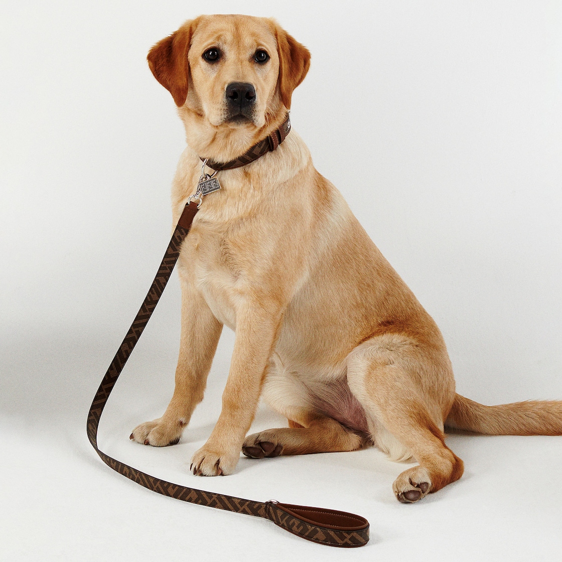 Dog Leash Fabric Brown - Image 3/3