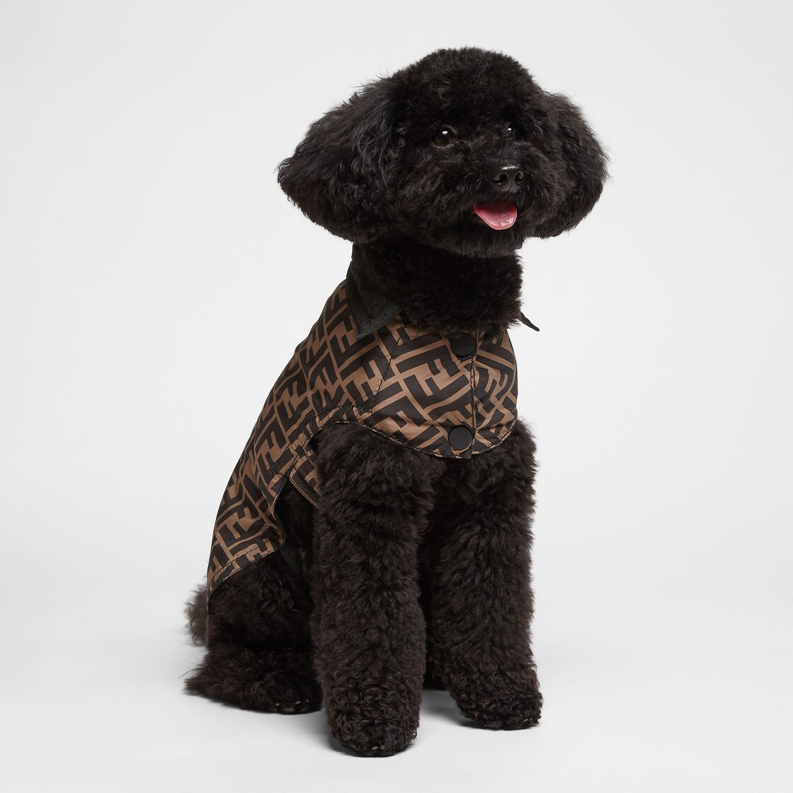 Cappotto Per Cani - Cappotto per cani in nylon FF marrone