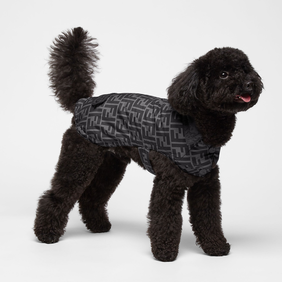 Dog Coat Fabric Black - Image 4/4