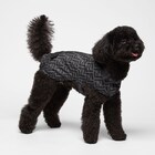 Manteau Pour Chien