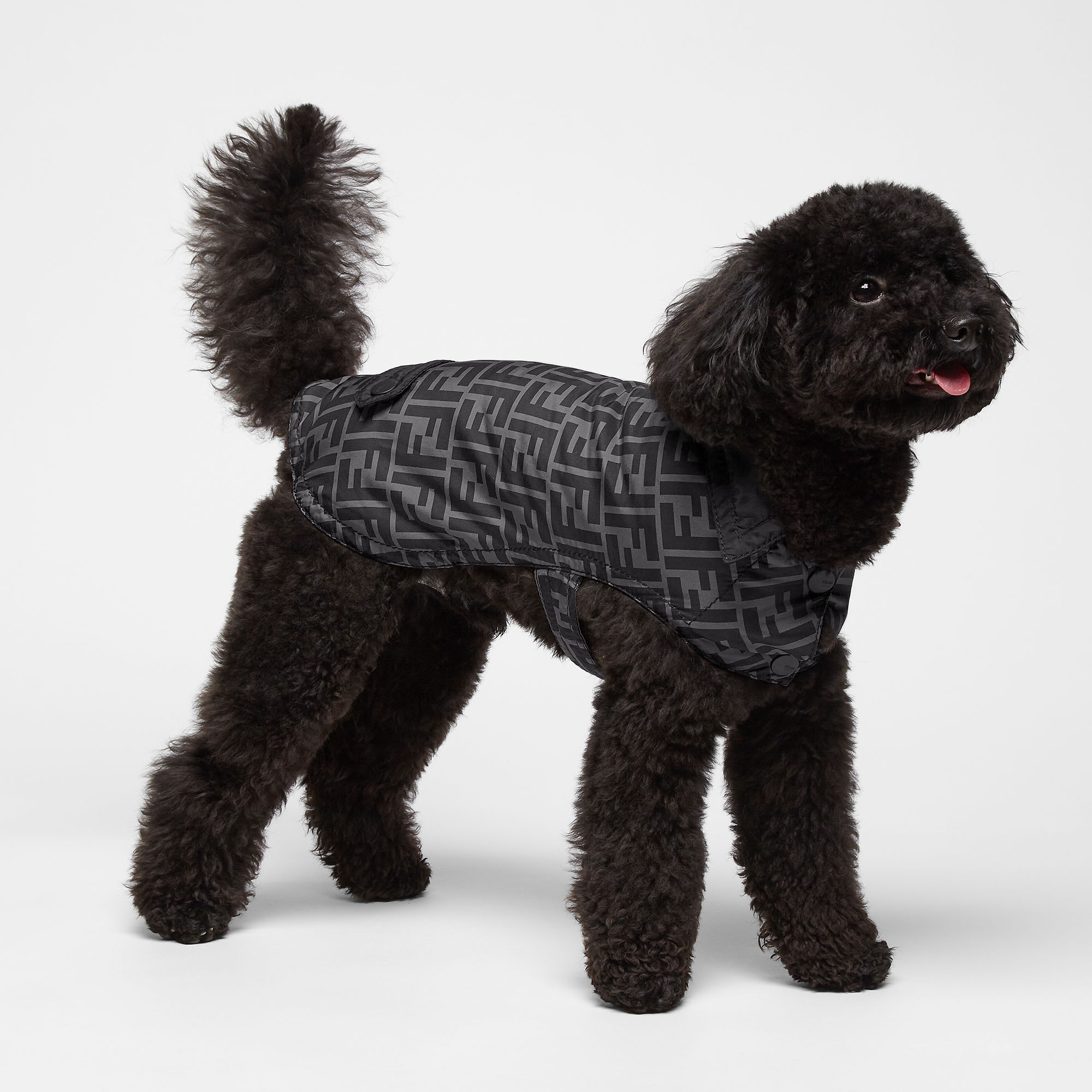 Fendi dog sweater outlet