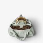 Fendi Spy Small