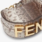 Fendigraphy Mini