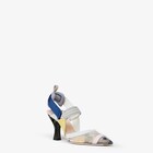 Colibrì&nbsp;image 2 sur 5