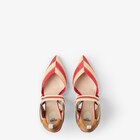 Colibrì image 4 of 5