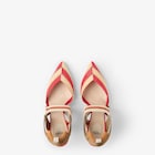 Colibrì image 4 of 5