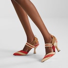 Colibrì image 5 of 5