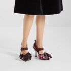 Colibrì image 5 of 5