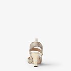 Colibrì image 3 of 5