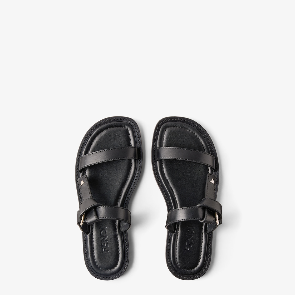 Fendi Dressage