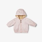 Baby windbreaker jacket