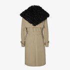 Trench Coat image 2 of 4