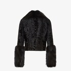 Jacket image 2 of 3