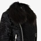 Jacket image 3 of 3
