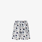 Swim Shorts image 2 of 4