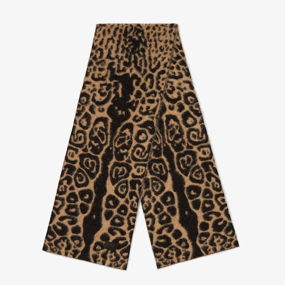 Fendi Scarf In Brown