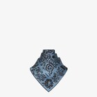 Fendi Foulard image 3 of 3