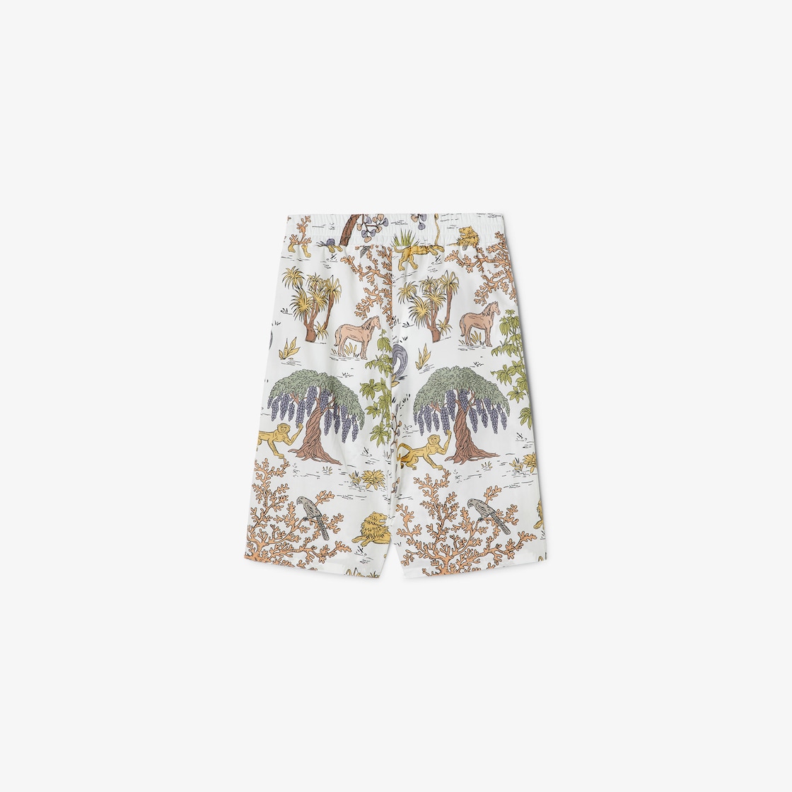Junior Bermudas